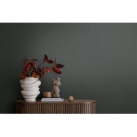 AS 399861 Tapeten A.S Creation Farbe Grau Anthrazit    Michalsky 6 Satintapete