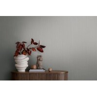 AS 399865 Tapeten A.S Creation Farbe Grau     Michalsky 6 Satintapete