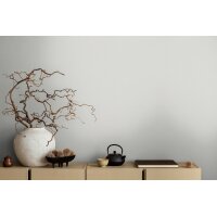 AS 399866 Tapeten A.S Creation Farbe Grau     Michalsky 6 Satintapete