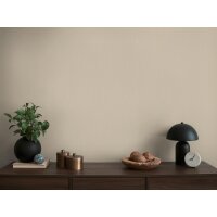 AS 399867 Tapeten A.S Creation Farbe Beige     Michalsky 6 Satintapete