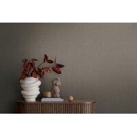 AS 399884 Tapeten A.S Creation Farbe Grau Braun    Michalsky 6 Satintapete
