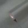 AS 399887 Tapeten A.S Creation Farbe Grau     Michalsky 6 Satintapete