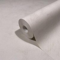 82429 Marburg Novamur Kylie Farbe beige Vliestapete