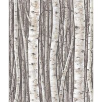 82432 Marburg Timber Farbe grau, braun Vliestapete