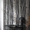 82433 Marburg Timber Farbe grau, blau Vliestapete
