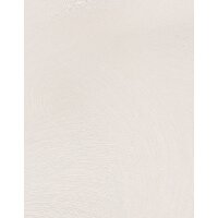 10403-14 Tapeten Erismann Spotlight Farbe creme Vinyltapete auf Vlies