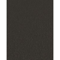 10437-15 Tapeten Erismann Spotlight Farbe schwarz Vinyltapete auf Vlies