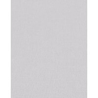 10437-31 Tapeten Erismann Spotlight Farbe grau Vinyltapete auf Vlies