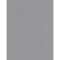 10437-47 Tapeten Erismann Spotlight Farbe grau Vinyltapete auf Vlies