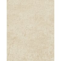 10418-02 Tapeten Erismann Play of light Farbe beige Vinyltapete auf Vlies