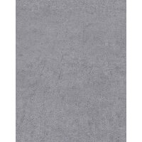 10418-10 Tapeten Erismann Play of light Farbe grau Vinyltapete auf Vlies
