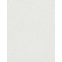 10430-01 Tapeten Erismann Gentle Farbe weiß Vinyltapete auf Vlies