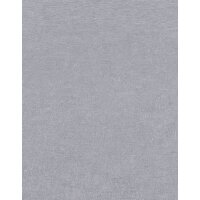 10430-10 Tapeten Erismann Gentle Farbe grau Vinyltapete auf Vlies