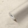AS 306682 Tapeten A.S Creation Daniel Hechter 7 Farbe Creme, Grau Vlies