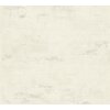 AS 306682 Tapeten A.S Creation Daniel Hechter 7 Farbe Creme, Grau Vlies