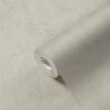 AS 952591 Tapeten A.S Creation Daniel Hechter 7 Farbe Beige Vlies