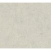AS 952591 Tapeten A.S Creation Daniel Hechter 7 Farbe Beige Vlies