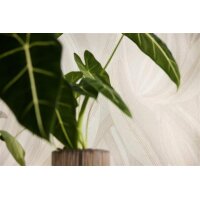 AS 786554 Tapeten A.S Creation Metropolitan Stories Hot Spots Farbe Creme Beige Hellgrau Gold Metallic Vlies