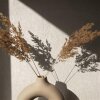 35522 Marburg Ritus Farbe beige Vliestapete