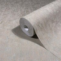 35550 Marburg Ritus Farbe beige Vliestapete
