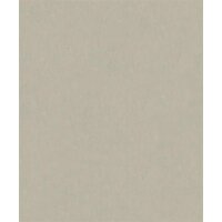 35550 Marburg Ritus Farbe beige Vliestapete