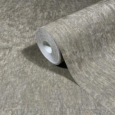 35552 Marburg Ritus Farbe grau braun Vliestapete