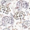 35635 Marburg Glööckler Pompöös Provence Farbe grau, braun, lila Vliestapete