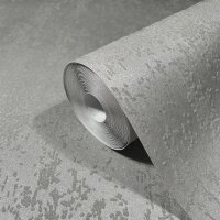 86549 Marburg Felix Diener Eclectic Farbe grau Vliestapete