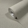 86553 Marburg Felix Diener Eclectic Farbe beige Vliestapete