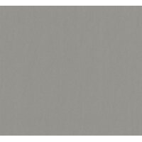 86562 Marburg Felix Diener Eclectic Farbe silber Vliestapete