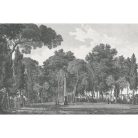 V162-1M Tapeten Essener Panorama 2 Farbe grau Wandbild