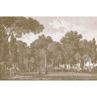 V162-2M Tapeten Essener Panorama 2 Farbe beige Wandbild