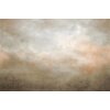 V172-2V Tapeten Essener Panorama 2 Farbe beige Wandbild