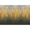 V176-1C Tapeten Essener Panorama 2 Farbe schwarz, gold, grau Wandbild