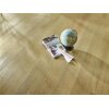 JOKA XPLORA NEXT 833 FINESSE Naturdesignboden mit PRO-C.Xpress-System schwimmend oder verklebt 8655 Oak infinity gold V4