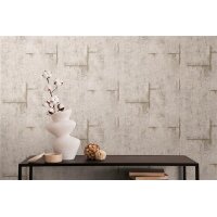 AS 790853 Tapeten A.S Creation CosmoLiving Farbe Grau Metallic    Vliestapete