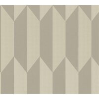 AS 790865 Tapeten A.S Creation CosmoLiving Farbe Champagner Metallic Silber   Vliestapete