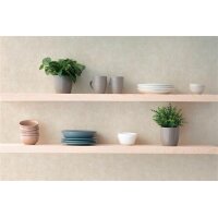 AS 389231 Tapeten A.S Creation Hygge III Farbe Beige Creme    Vliestapete