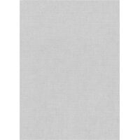 1053931 Tapeten Erismann Aurora Farbe grau Vliestapete