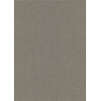 1053934 Tapeten Erismann Aurora Farbe grau Vliestapete