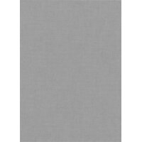 1053937 Tapeten Erismann Aurora Farbe grau Vliestapete