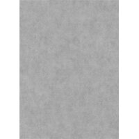 1047310 Tapeten Erismann Elysium Farbe grau Vliestapete
