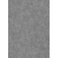 1047329 Tapeten Erismann Elysium Farbe silber Vliestapete
