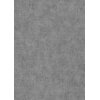 1047329 Tapeten Erismann Elysium Farbe silber Vliestapete