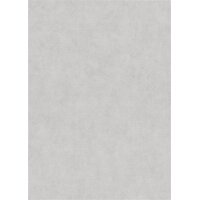 1047331 Tapeten Erismann Elysium Farbe creme grau...