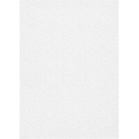 1103210 11032-10  Tapeten Erismann RollOver 27  Vliestapete