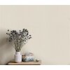 1051002 Tapeten Erismann Secret Garden  Farbe beige Vliestapete