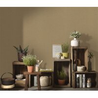1051020 Tapeten Erismann Secret Garden  Farbe braun Vliestapete