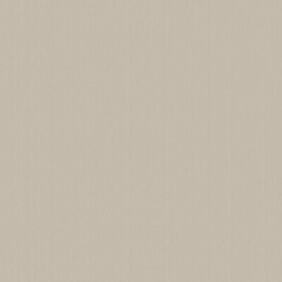 DC30101 Tapeten Essener Designer Colours Farbe beige sand braun Vliestapete