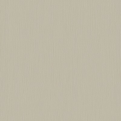 DC30192 Tapeten Essener Designer Colours Farbe beige Vliestapete